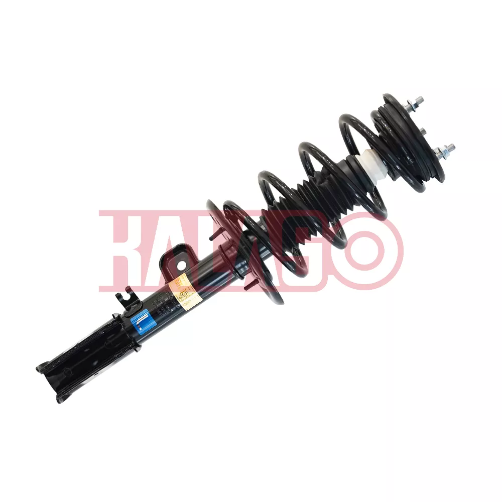 Complete Shock Absorber Assembly